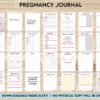 Pregnancy Journal Template