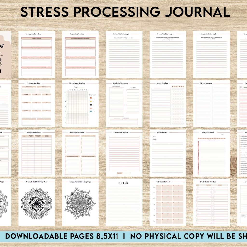 Stress Processing Journal Pages for daily self care, mental health, and emotion list with breakdown worksheets, Canva Editable Templates, Kdp interior