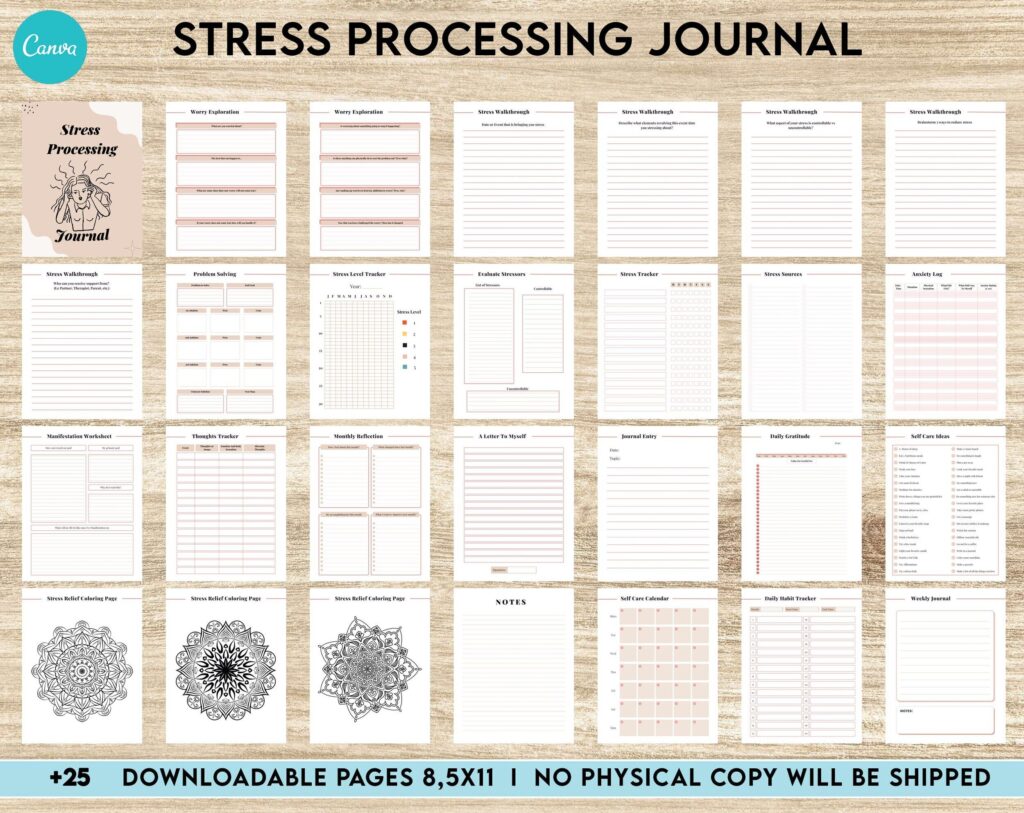 Stress Journal, DBT Distress Tolerance, DBT Skills, Therapy Journal, Mental Health Journal, Stress Editable Templates, Stress Relief, BPD, Anxiety, Canva Editable Templates, Kdp interior