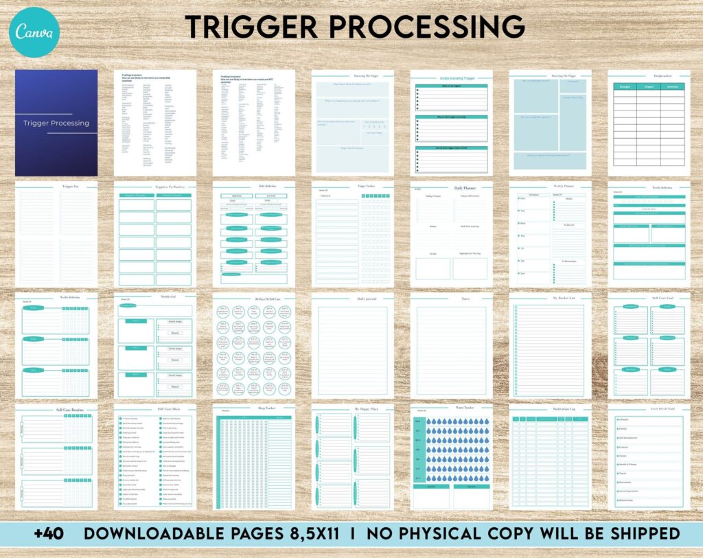Trigger Processing journal, Thought Processing Journal Pages for daily self care, mental health, and emotion list with breakdown worksheets, Canva Editable Templates, Kdp interior