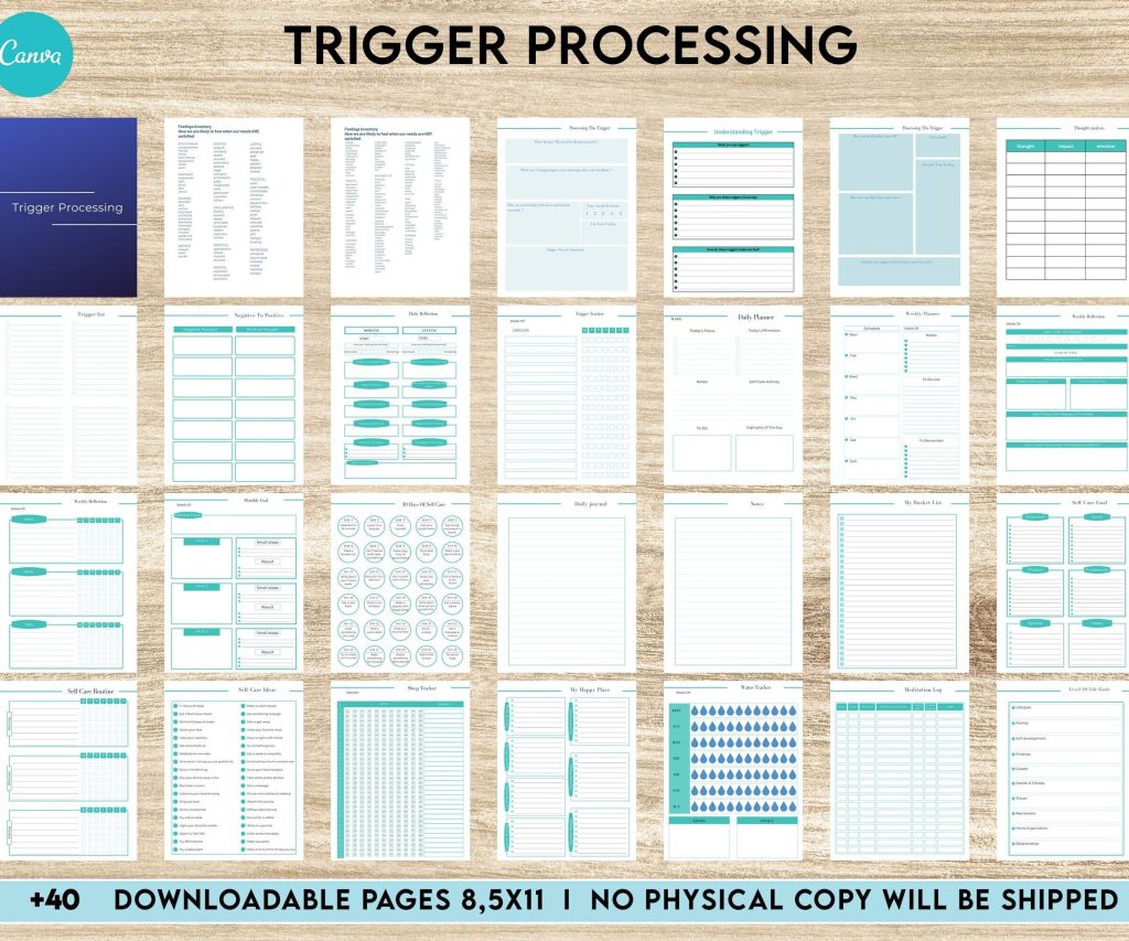 Trigger Processing journal, Thought Processing Journal Pages for daily self care, mental health, and emotion list with breakdown worksheets, Canva Editable Templates, Kdp interior
