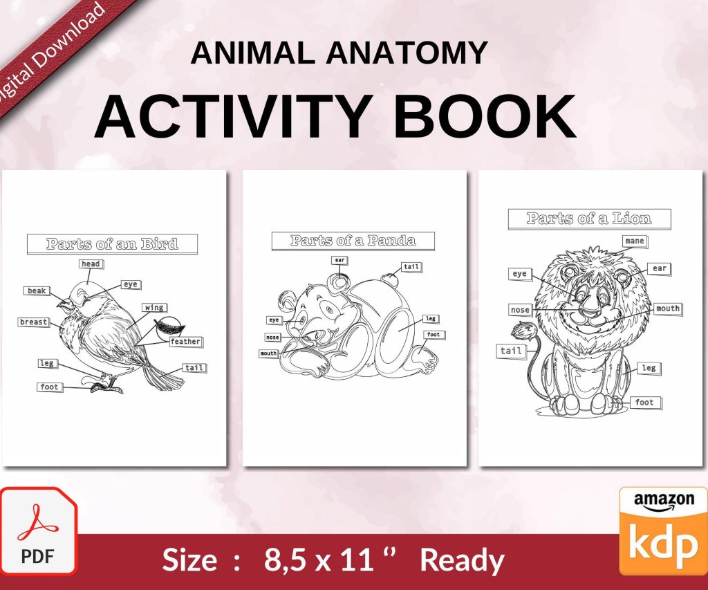 Animal Anatomy Activity book PDF File 8.5×11 inch For Kids aged 2-4 4-8, KDP interior Ready To Upload COMMERCIAL Use