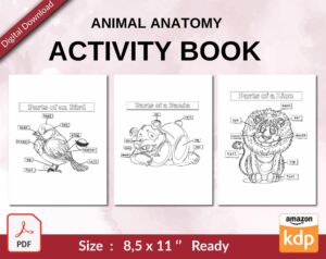 Animal Anatomy Activity book PDF File 8.5×11 inch For Kids aged 2-4 4-8, KDP interior Ready To Upload COMMERCIAL Use