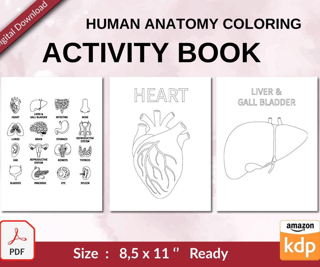 Human anatomy coloring Activity book PDF File 8.5×11 inch For Kids aged 2-4 4-8, KDP interior Ready To Upload COMMERCIAL Use