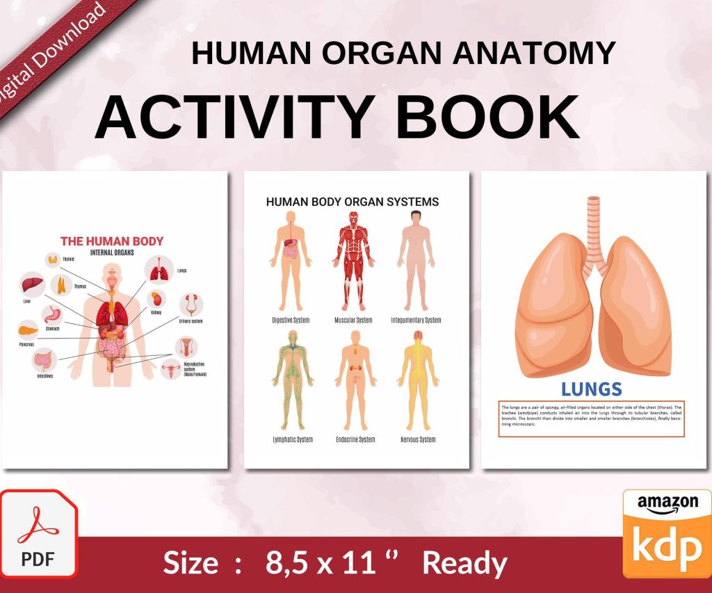 Animal Anatomy Activity book PDF File 8.5×11 inch For Kids aged 2-4 4-8, KDP interior Ready To Upload COMMERCIAL Use