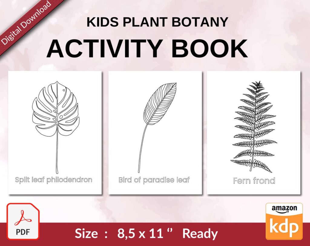 Kids Plant Botany Activity book PDF File 8.5×11 inch For Kids aged 2-4 4-8, KDP interior Ready To Upload COMMERCIAL Use
