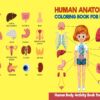 Human anatomy coloring Activity book PDF File 8.5×11 inch For Kids aged 2-4 4-8, KDP interior Ready To Upload COMMERCIAL Use