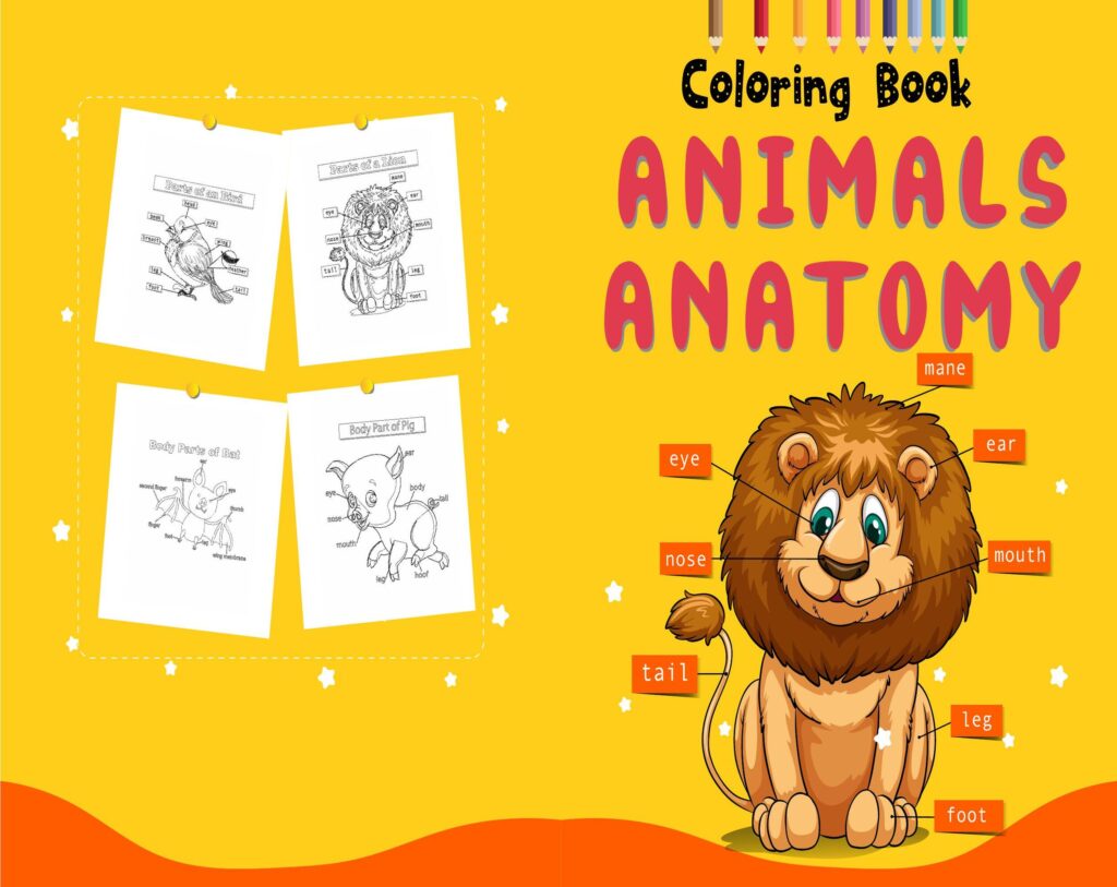 Animal Anatomy Activity book PDF File 8.5×11 inch For Kids aged 2-4 4-8, KDP interior Ready To Upload COMMERCIAL Use