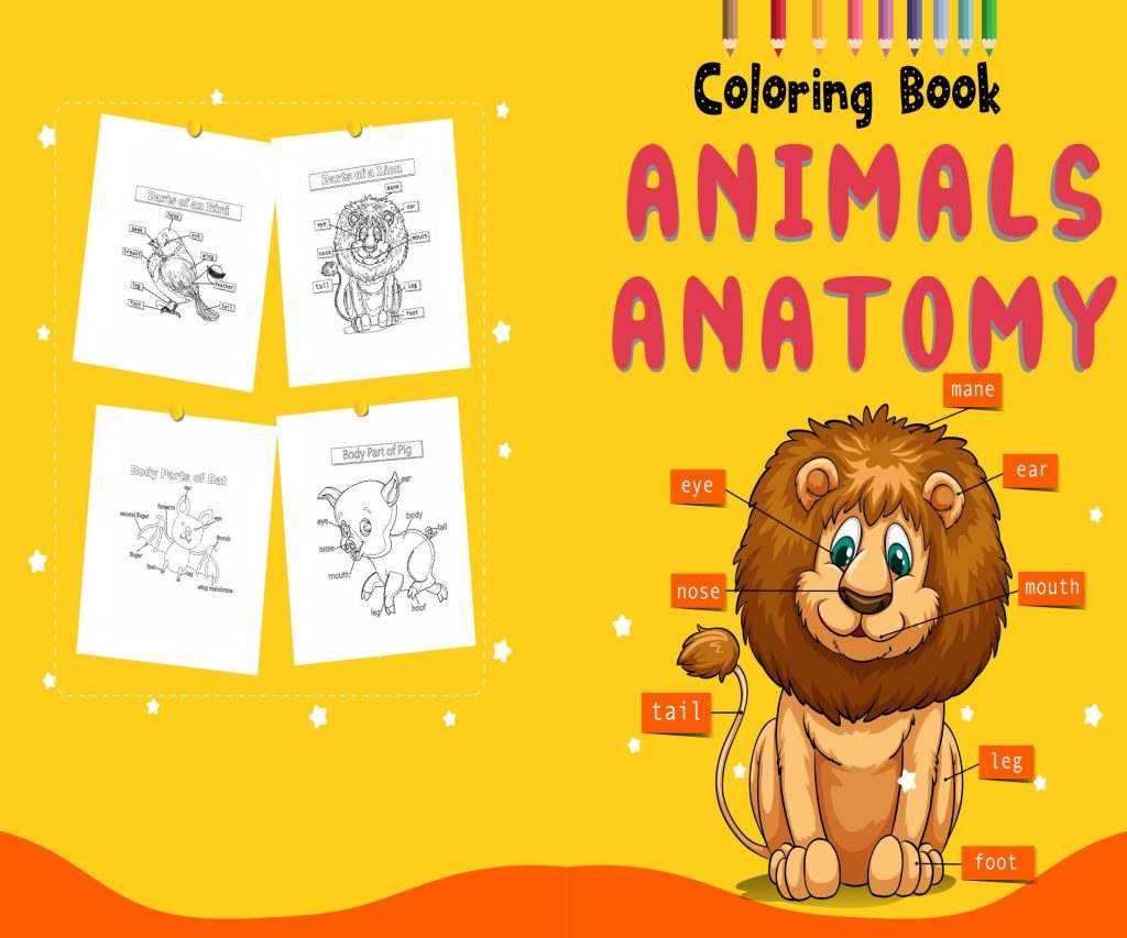 Animal Anatomy Activity book PDF File 8.5×11 inch For Kids aged 2-4 4-8, KDP interior Ready To Upload COMMERCIAL Use