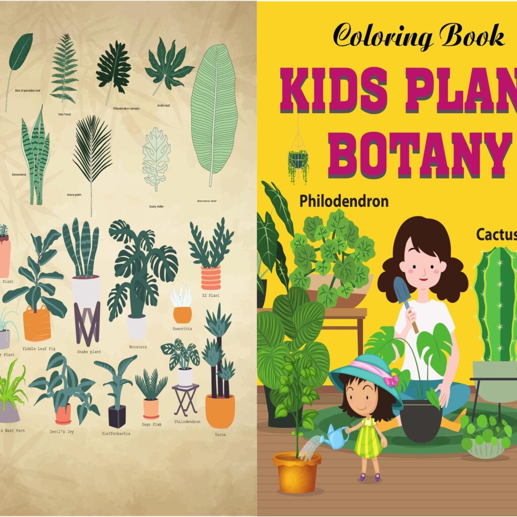 Kids Plant Botany Activity book PDF File 8.5×11 inch For Kids aged 2-4 4-8, KDP interior Ready To Upload COMMERCIAL Use