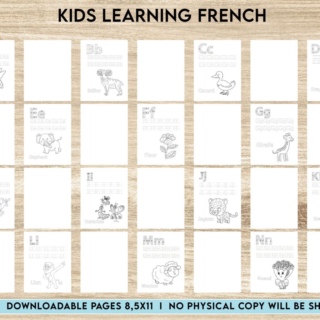 kids learning French Activity book PDF File 8.5×11 inch For Kids aged 2-4 4-8, KDP interior Ready To Upload COMMERCIAL Use