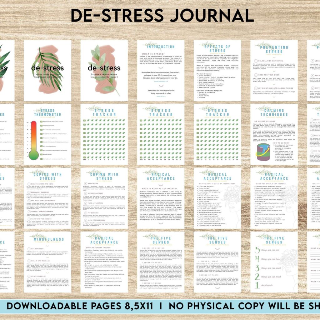 Stress Journal, DBT Distress Tolerance, DBT Skills, Therapy Journal, Mental Health Journal, Stress 8×11 inch pages size, Stress Relief, BPD, Anxiety, PDF Printable, Kdp interior