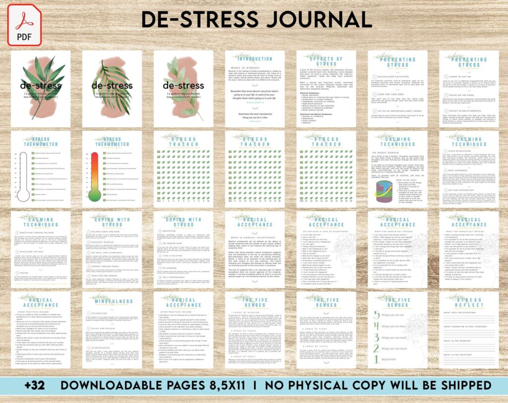 Stress Journal, DBT Distress Tolerance, DBT Skills, Therapy Journal, Mental Health Journal, Stress 8×11 inch pages size, Stress Relief, BPD, Anxiety, PDF Printable, Kdp interior