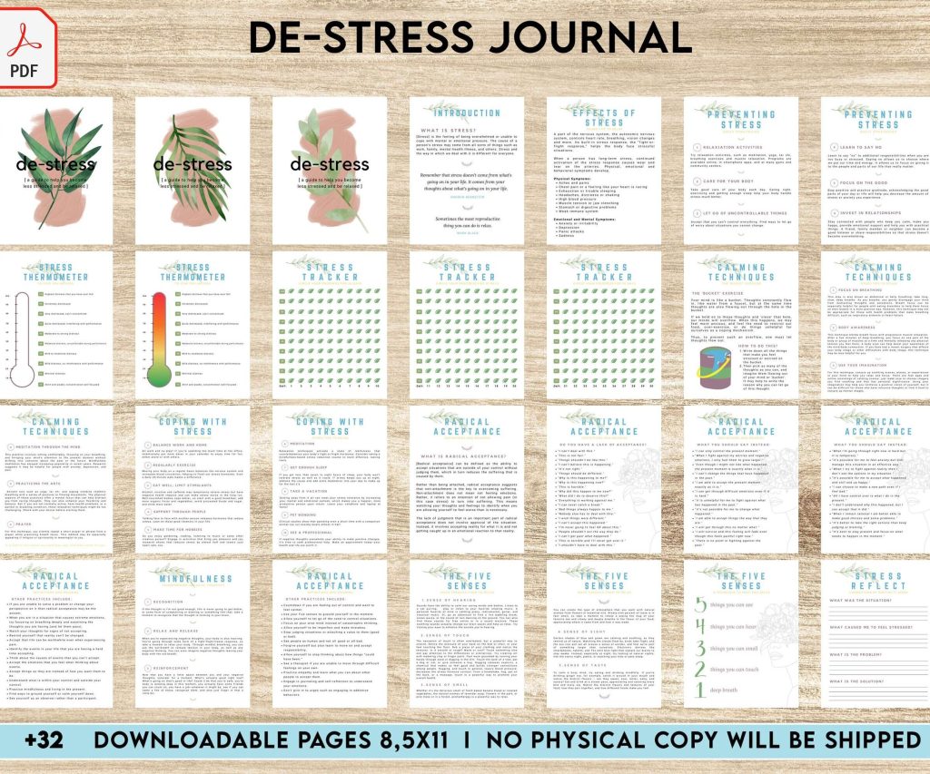 Stress Journal, DBT Distress Tolerance, DBT Skills, Therapy Journal, Mental Health Journal, Stress 8×11 inch pages size, Stress Relief, BPD, Anxiety, PDF Printable, Kdp interior