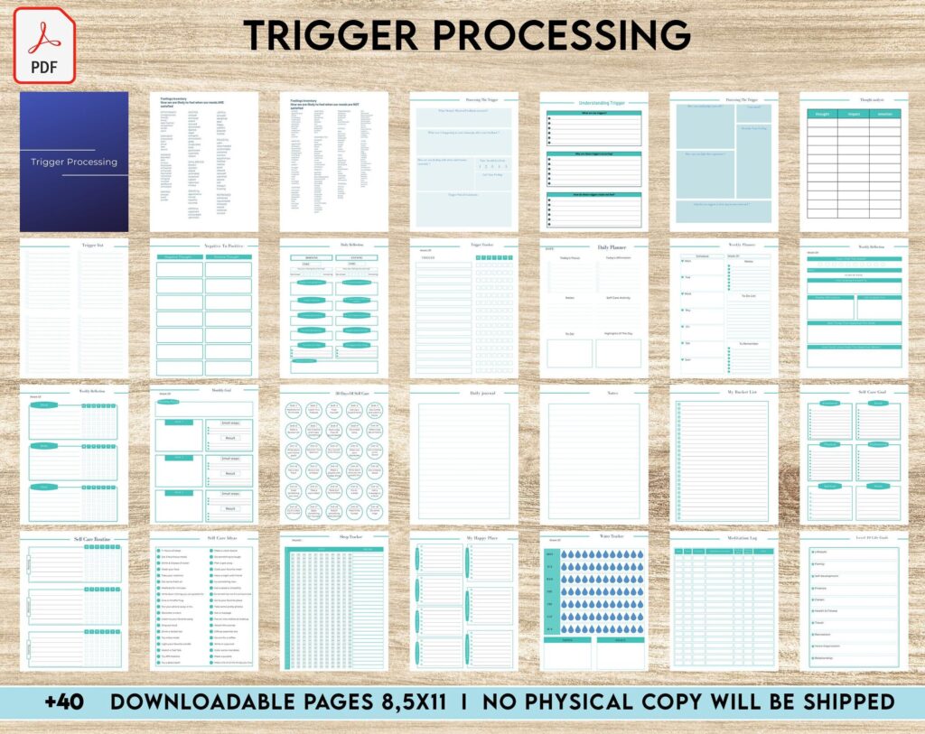 Trigger Processing journal, Thought Processing Journal Pages for daily self care, mental health, and emotion list with breakdown worksheets, PDF Printable, Kdp interior
