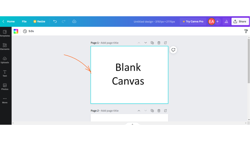 Complete Details of the Kdp Cover