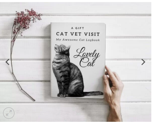 Canva KDP Cover For journal