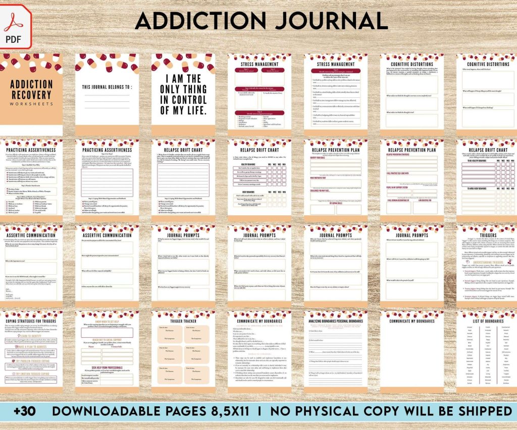 Addiction Recovery Journal PDF
