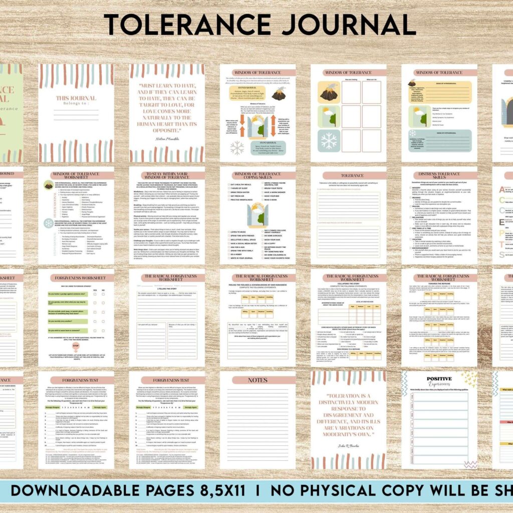 Tolerance Journal, window of tolerance, therapy journal , self discovery, self esteem, Canva Editable Templates 8,5×11 inch, KDP interior