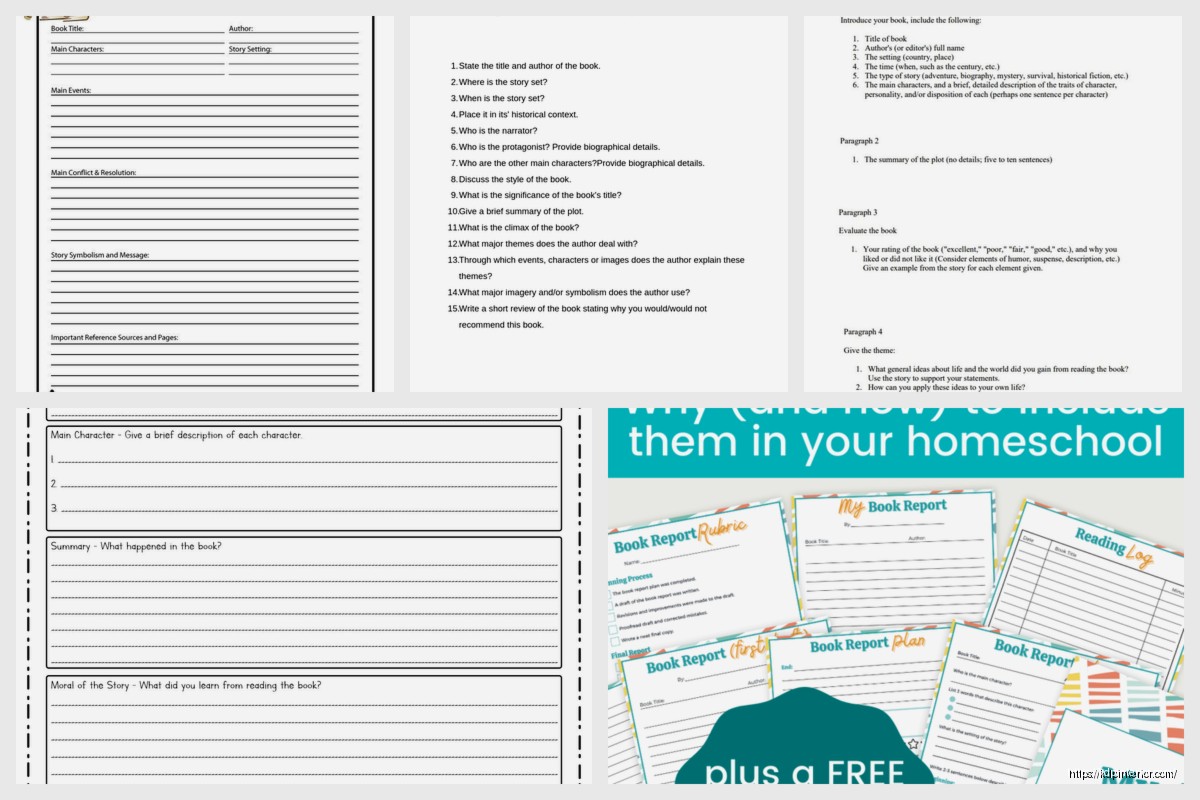 Book Report Outline: Academic Structure Guide