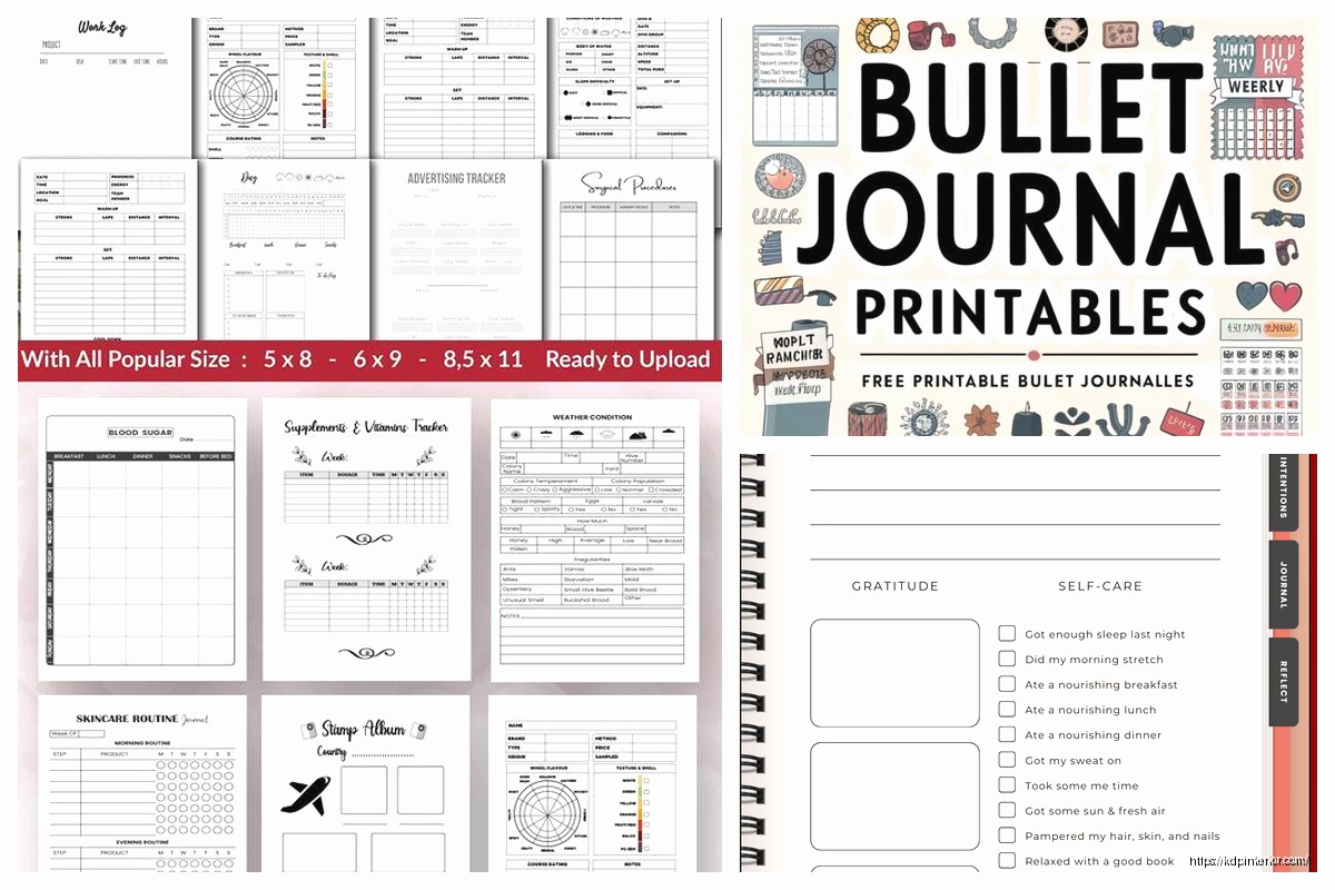 KDP Journal Template Design: Profitable Interior Layouts