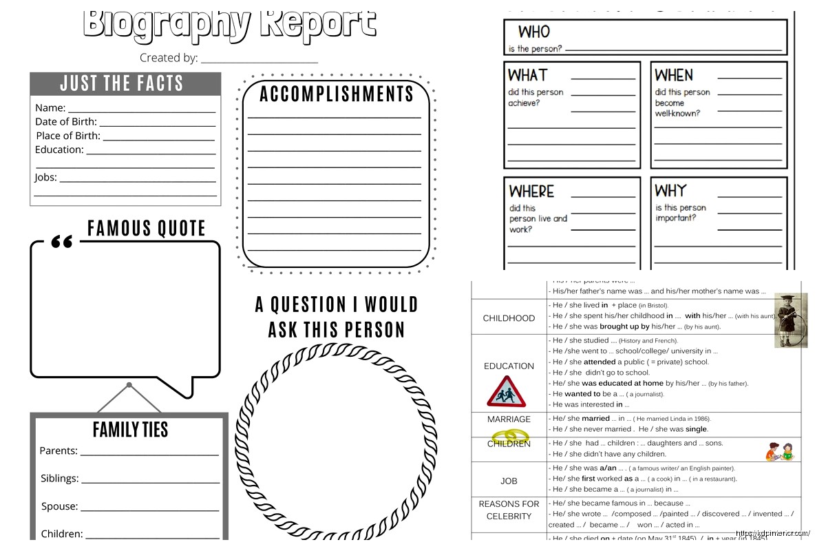 Author Biography Template: Professional Bio Format KDP Interior