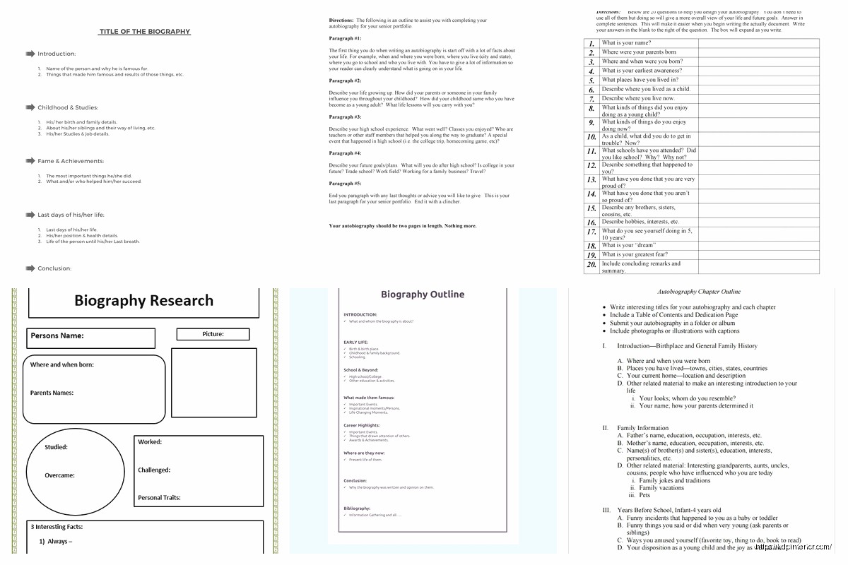Biography Outline Example: Story Structure Sample