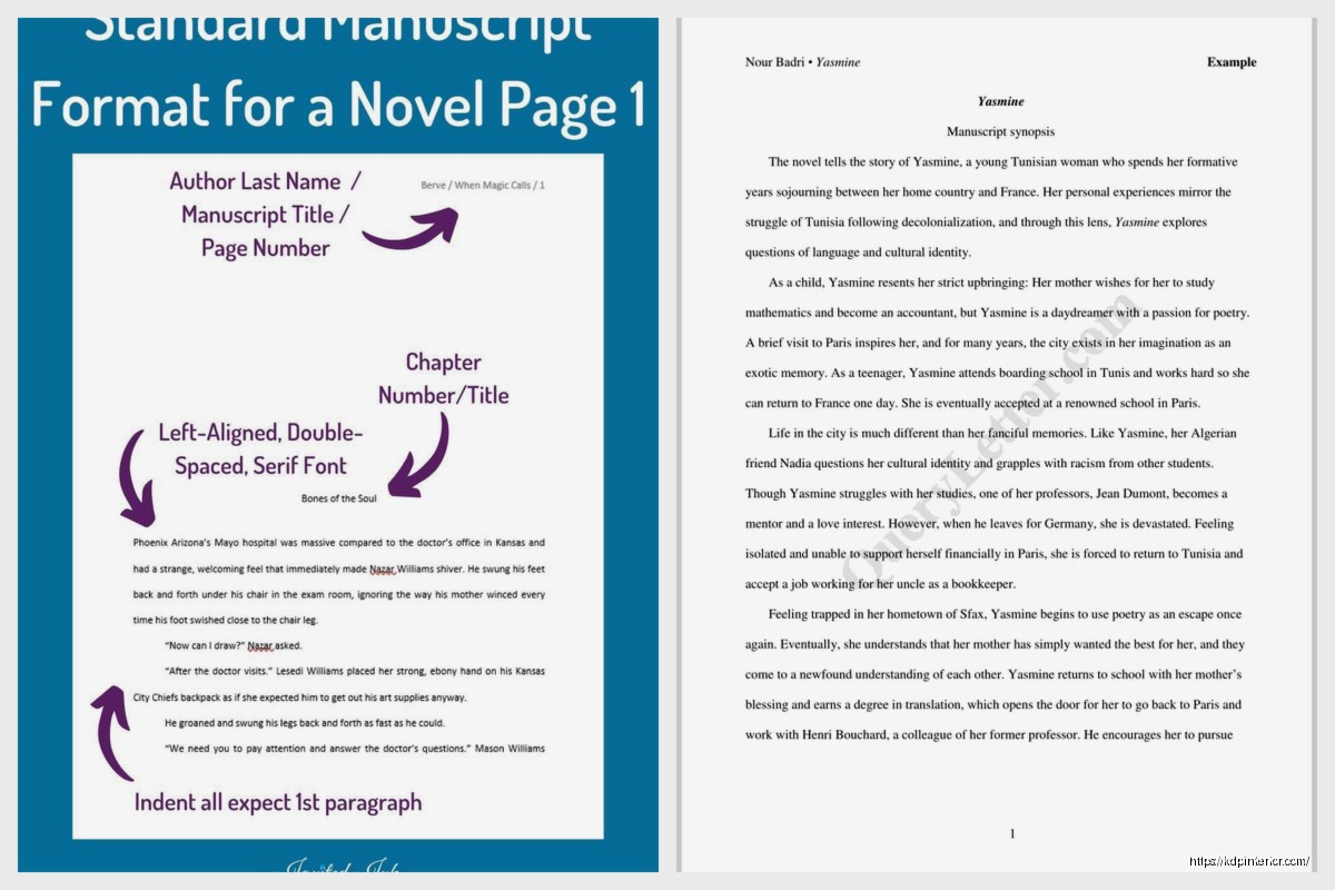 Book Manuscript Example: Submission-Ready Sample