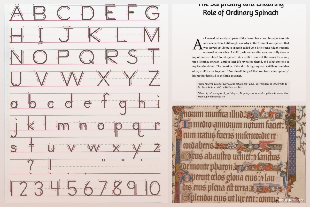 Book Manuscript Sample: Submission Examples