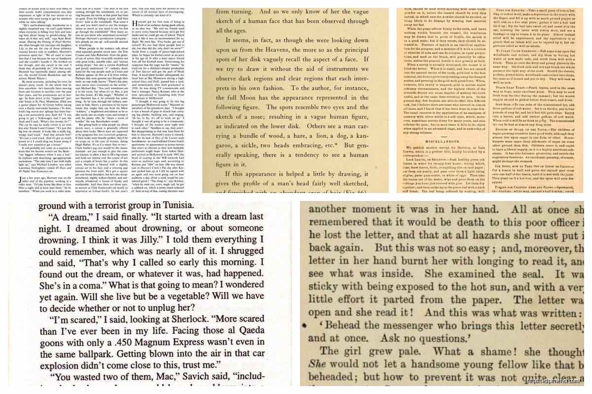 Book Pages Template: Interior Layout Design