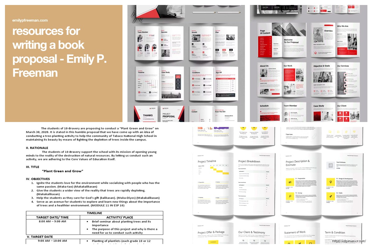 Book Proposal Example: Traditional Publishing