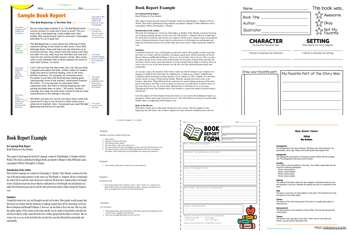 Book Report Example: Sample Analysis Papers