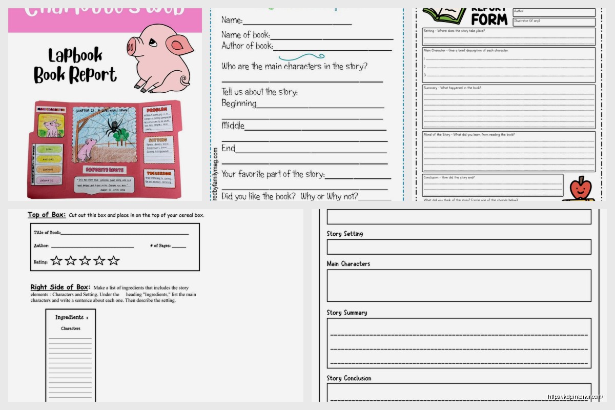 Book Report Sample: Academic Example Papers