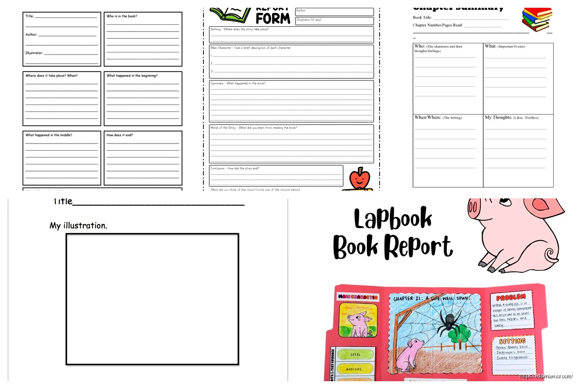 Book Report Sample: Academic Example Papers