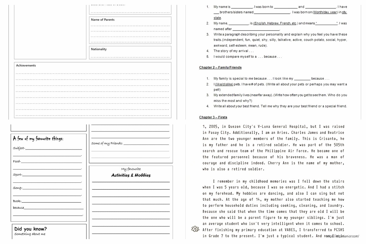 Professional Autobiography Template: Career Bio Format