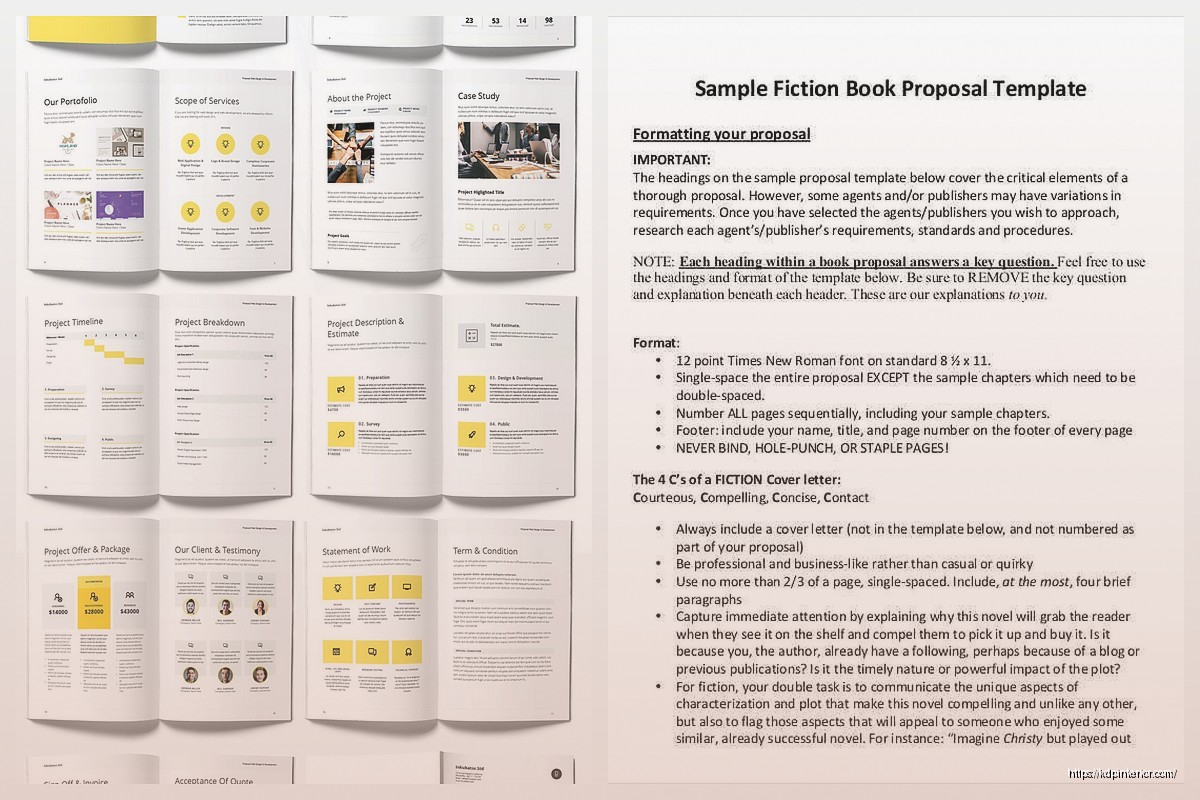 Sample Book Proposal: Traditional Publishing Examples