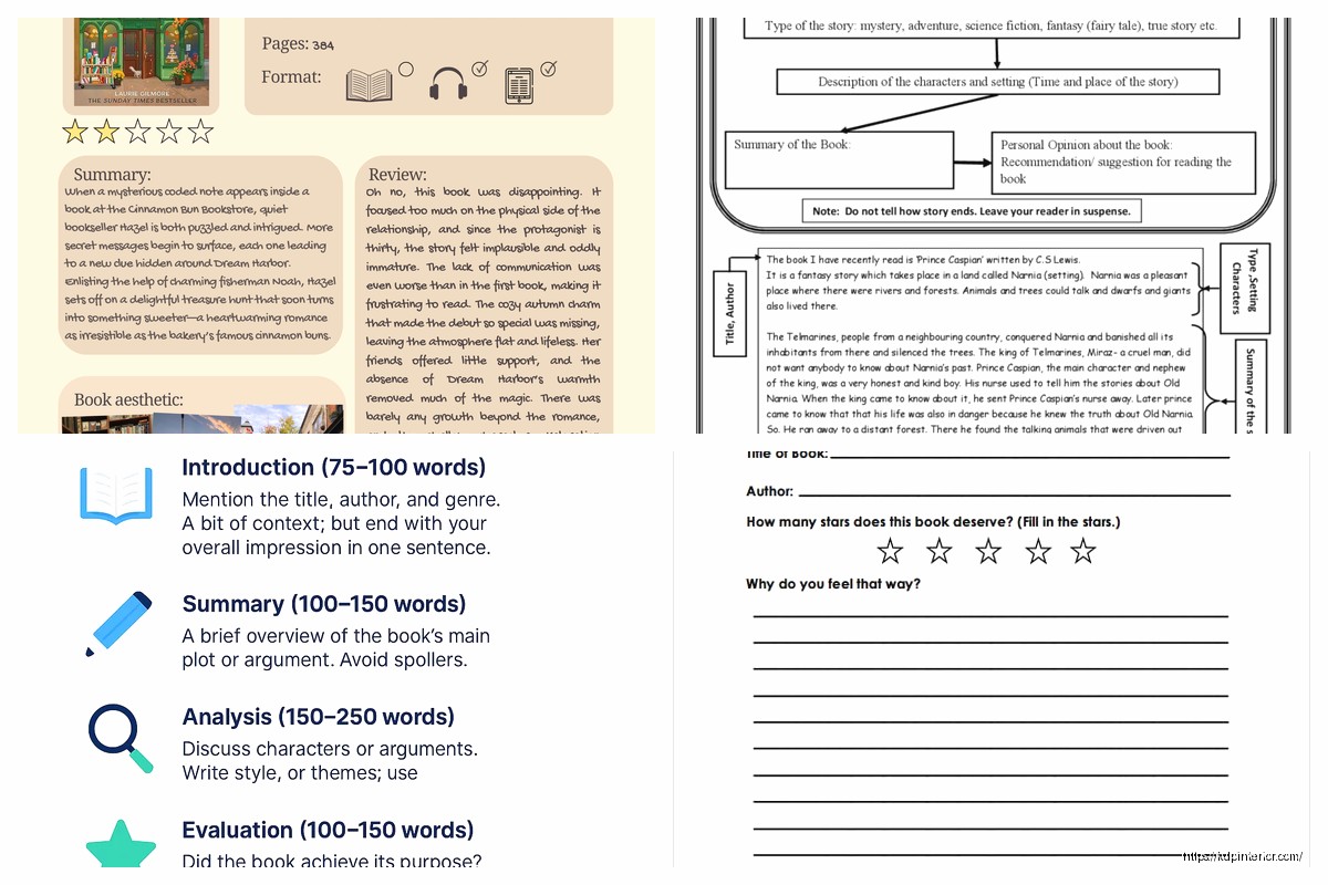 Sample Book Review: Example Critiques
