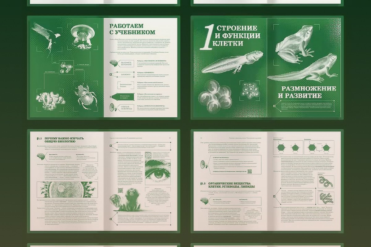 Textbook Layout Design: Academic Publishing Guide